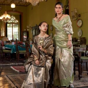 rajtex kanjeepuram canva Series 422001 To 422006 handwoven kanjivaram silk saree in wholesale surat