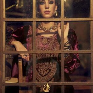 aiqa the adams series 2101 to 2106 viscose velvet advanced winter salwar kameez in wholesale surat