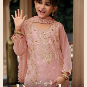 nanni munni dazzle series 23-25 organza readymade suit
