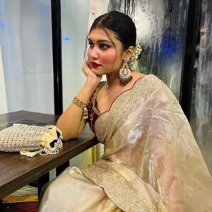 pr kc 2073 jimmy chu sequance luxurious saree best wholesale surat